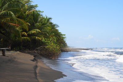 Tropical Beaches of Costa Rica
